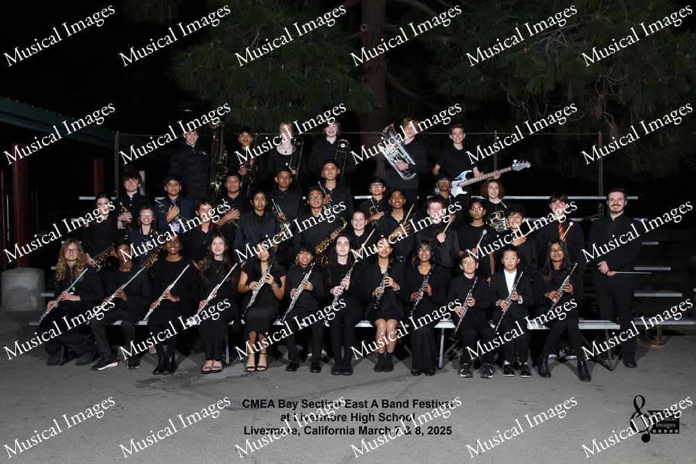 Musical Images